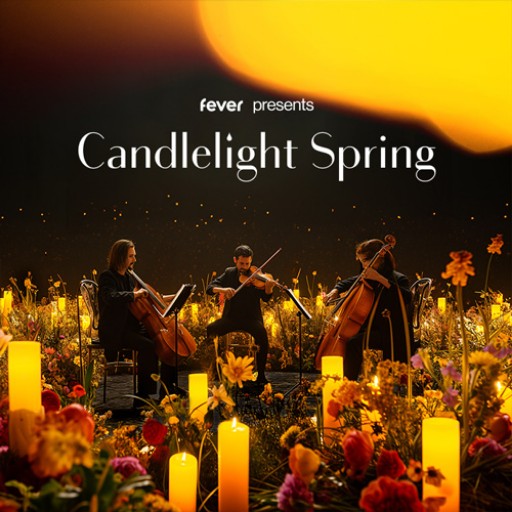 Candlelight: A Tribute to Beyonce Albuquerque Tickets